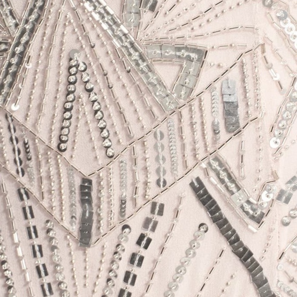 NWT Parker Devan’s Dress in blush - Picture 5 of 11